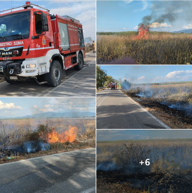 Δήμος Ανδραβίδας-Κυλλήνης: Πυρκαγιά σε ξερόχορτα στο Δίχαλο- Αμεση και αποτελεσματική η επέμβαση της Πυροσβεστικής Υηρεσίαςς